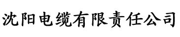 无码人妻丰满熟妇区免费电缆厂logo